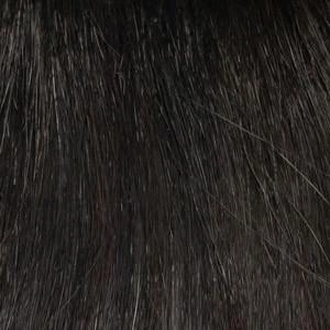 Whitney Wig by Envy | Human Hair Blend (Capless)