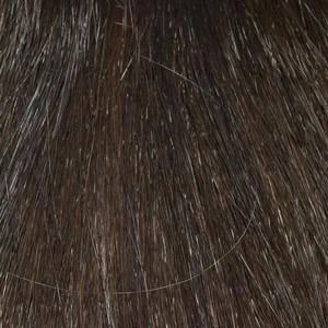 Whitney Wig by Envy | Human Hair Blend (Capless)